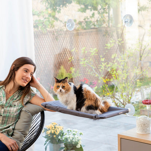 Hängematte für Katzen mit stabilem Rahmen als Katzenspielzeug und Katzen Zubehör für entspanntes Haustierbedarf.